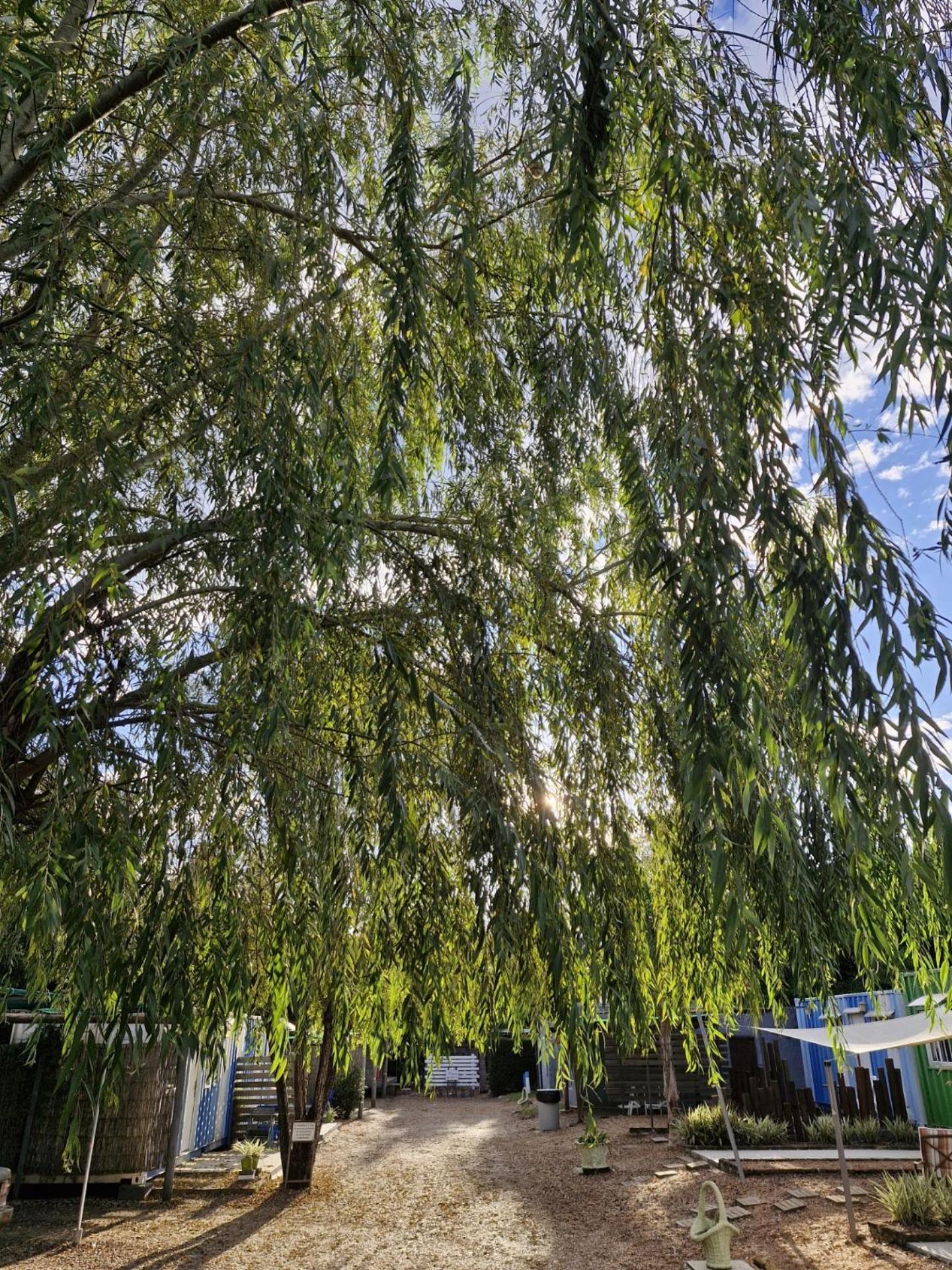Termas del Daymán Squania Suite Container & Monoambientes מראה חיצוני תמונה